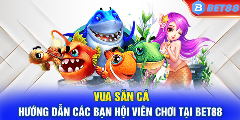 Vua săn cá hướng dẫn các bạn hội viên chơi tại BET88